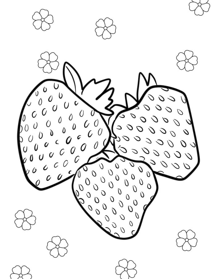 Eine Erdbeere Frucht ausmalbilder
