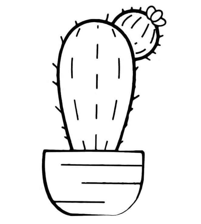Eine Kaktuspflanze ausmalbilder