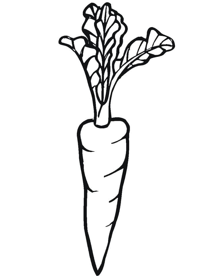Eine Karotte ausmalbilder