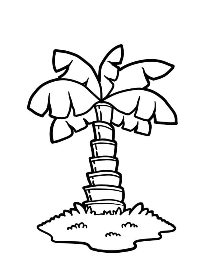 Eine Palme ausmalbilder