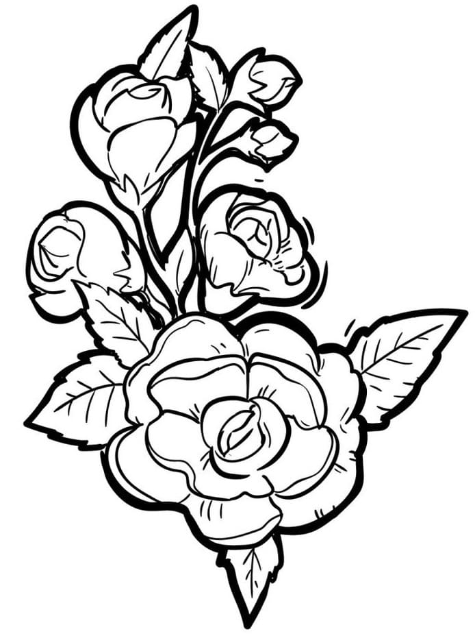 Eine Rose ausmalbilder