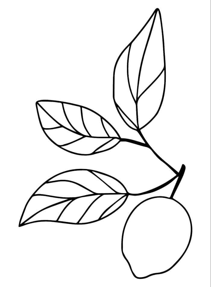 Eine einfache Zitrone ausmalbilder