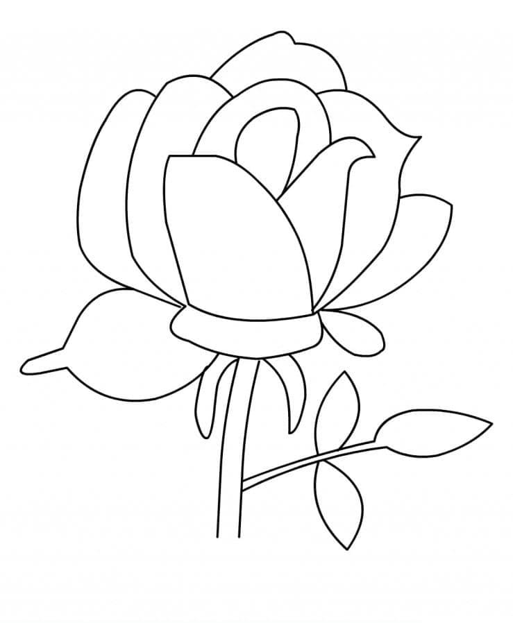 Eine schöne Rose ausmalbilder
