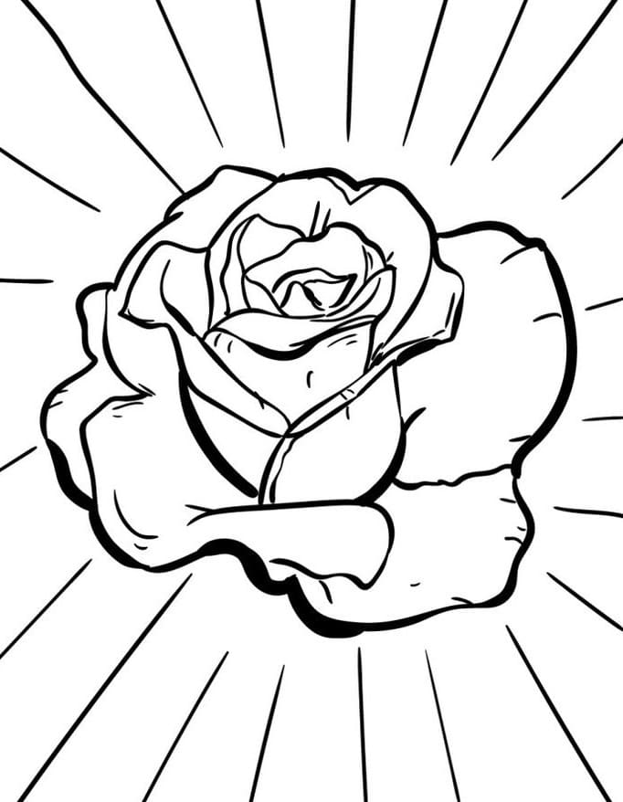 Einfache Rose ausmalbilder
