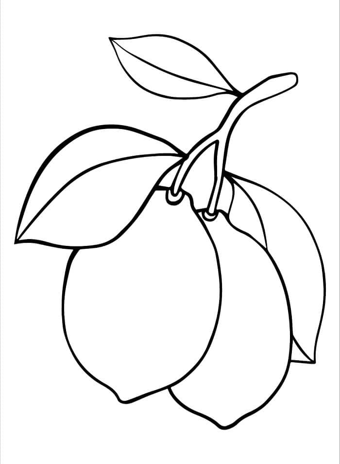 Einfache Zitrone ausmalbilder