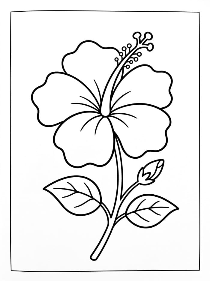 Einfacher Hibiskus ausmalbilder