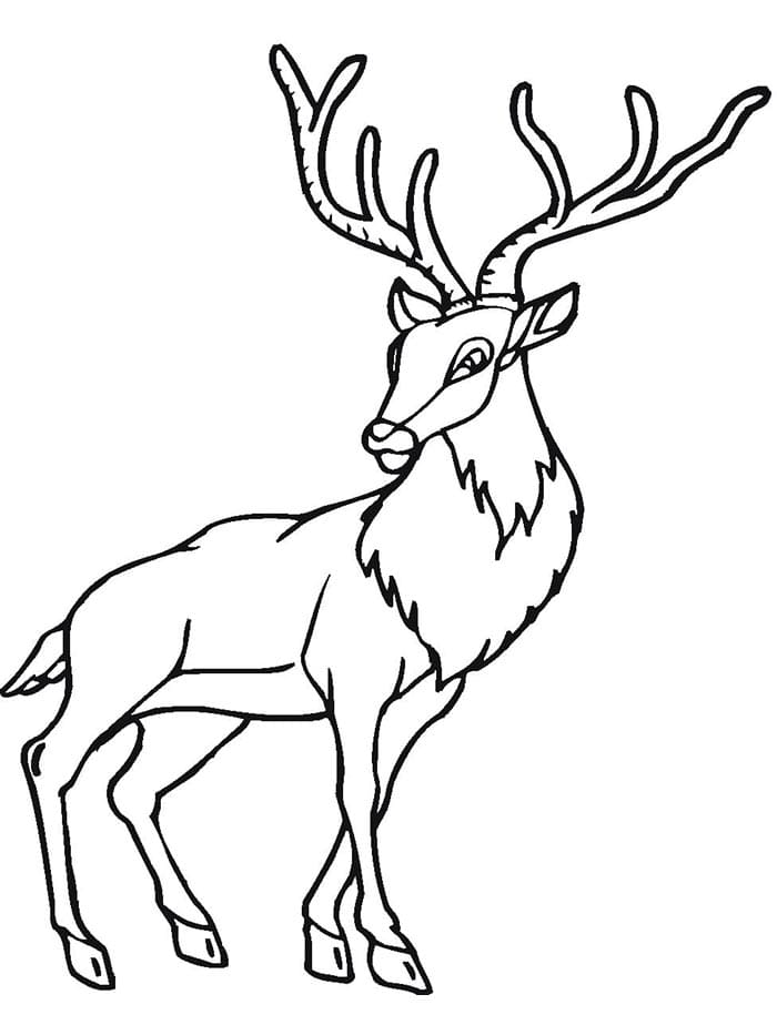 Einfacher Hirsch ausmalbilder
