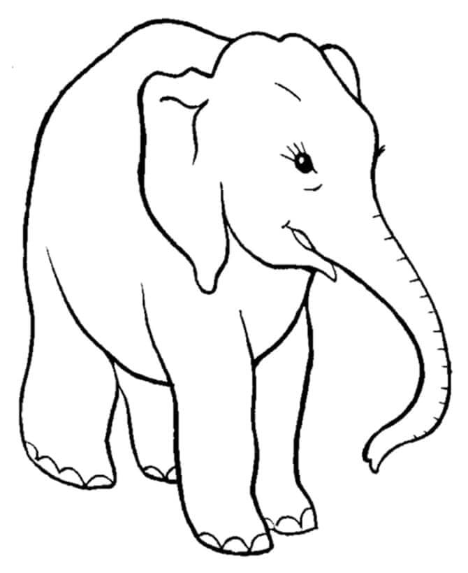 Elefant Druckbar Gratis ausmalbilder