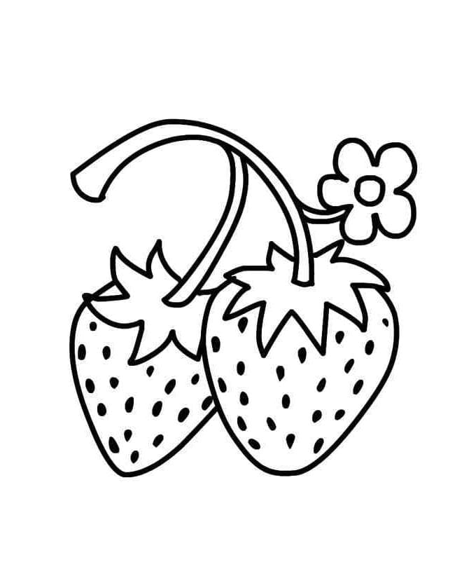 Erdbeere Bild ausmalbilder