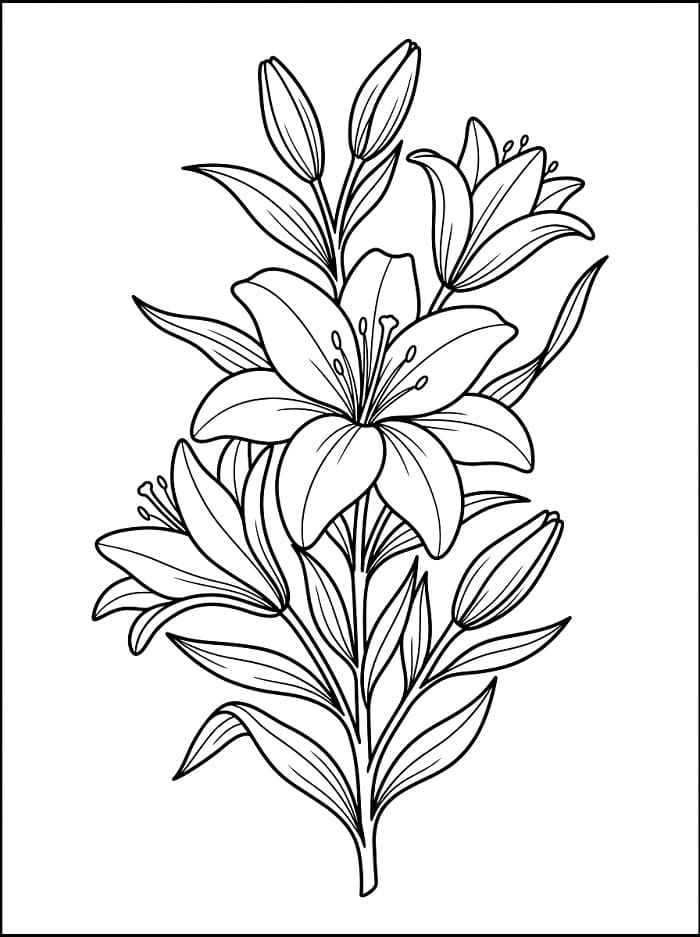 Erstaunliche Lilie ausmalbilder