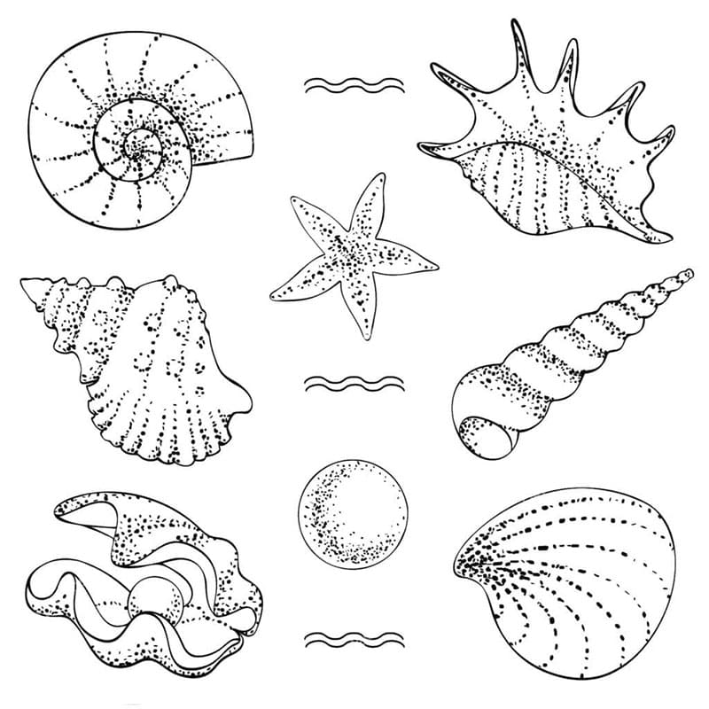 Erstaunliche Muschel ausmalbilder