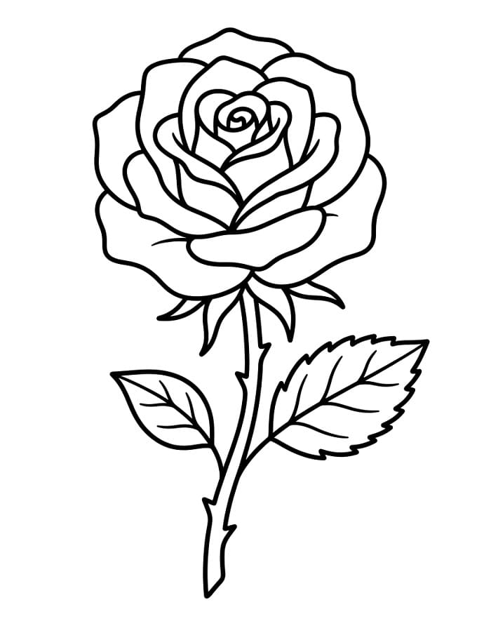 Erstaunliche Rose ausmalbilder