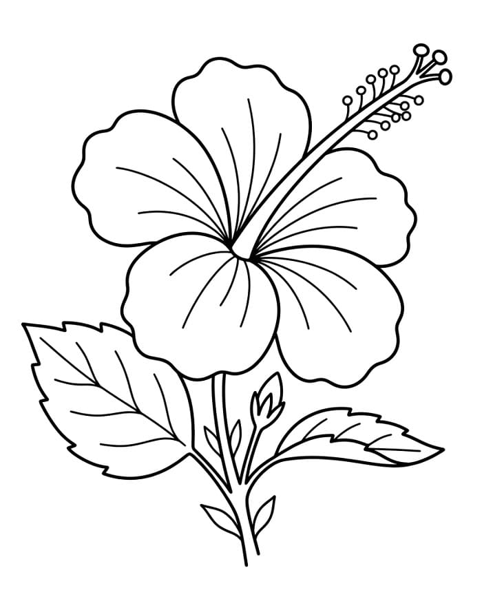 Erstaunlicher Hibiskus ausmalbilder
