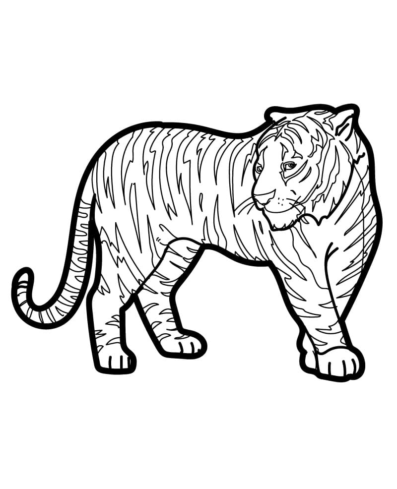 Erstaunlicher Tiger ausmalbilder