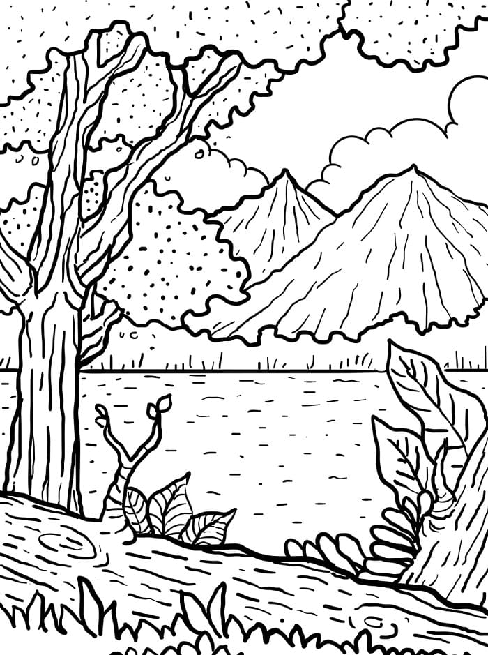 Erstaunlicher Wald ausmalbilder