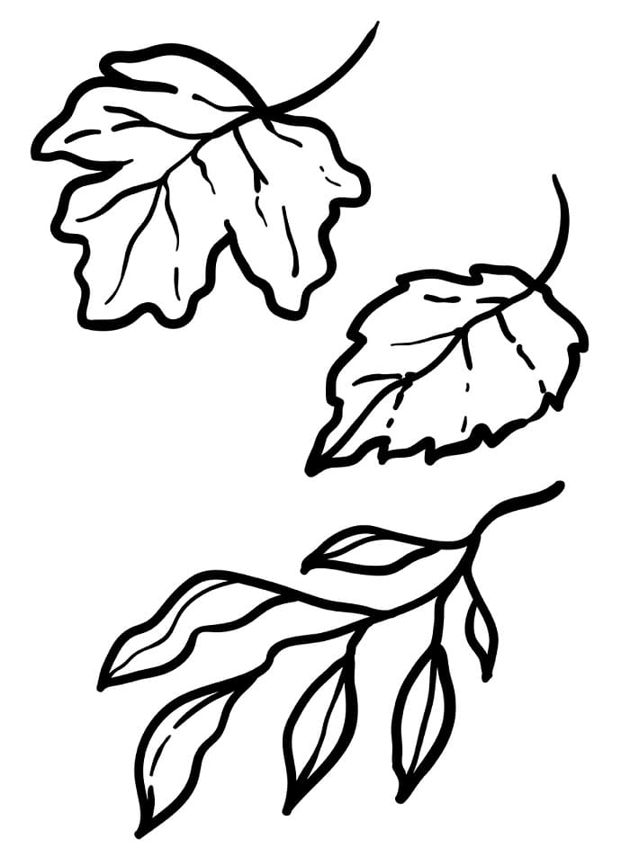 Erstaunliches Blatt ausmalbilder