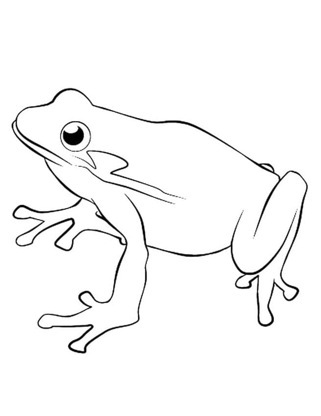 Frosch Druckbares Bild ausmalbilder