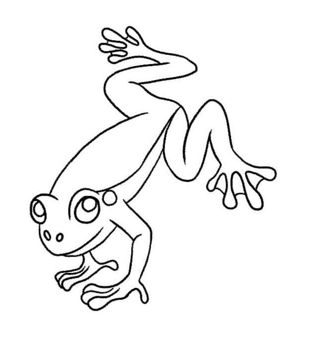 Frosch Für Kinder ausmalbilder