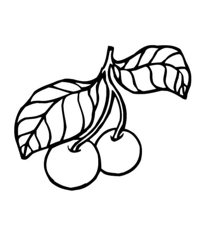 Früchte (1) ausmalbilder