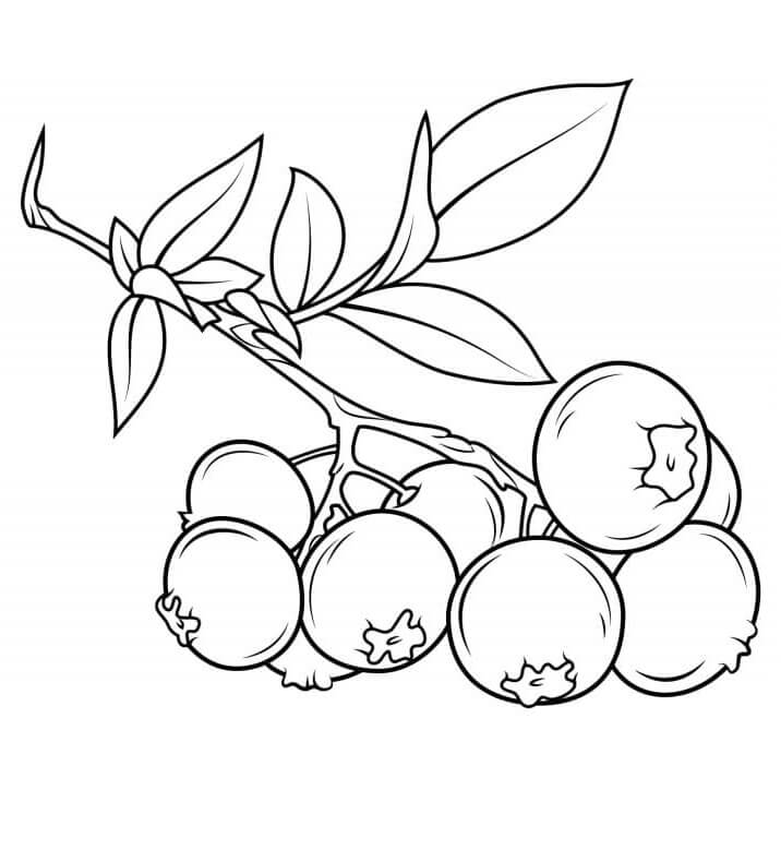 Früchte für 4-jährige Kinder ausmalbilder