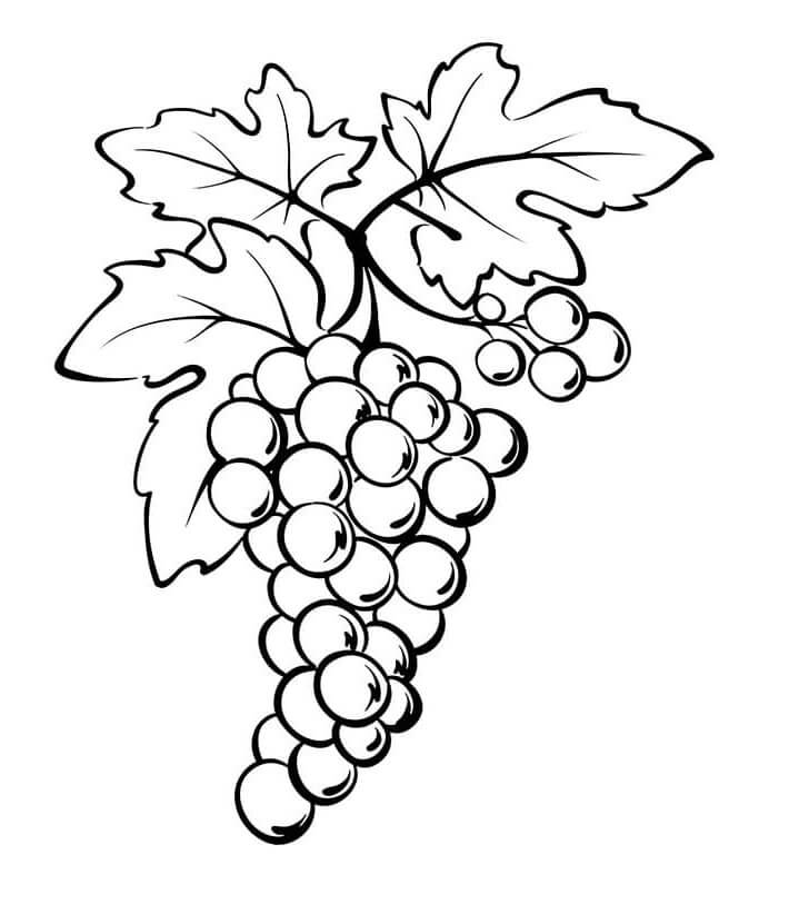 Früchte für 6-jährige Kinder ausmalbilder