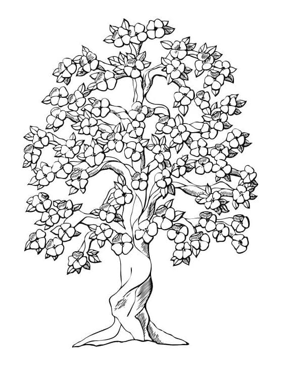 Frühling zum Drucken ausmalbilder