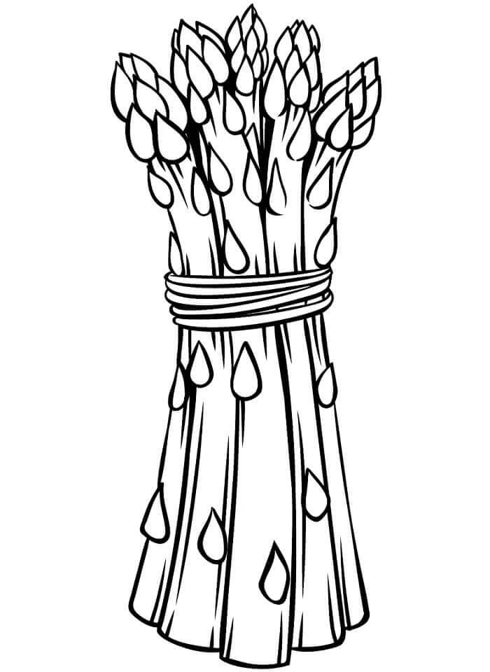 Gemüse druckbereit ausmalbilder