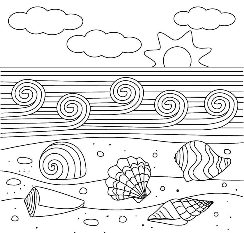 Gewöhnliche Muschel ausmalbilder