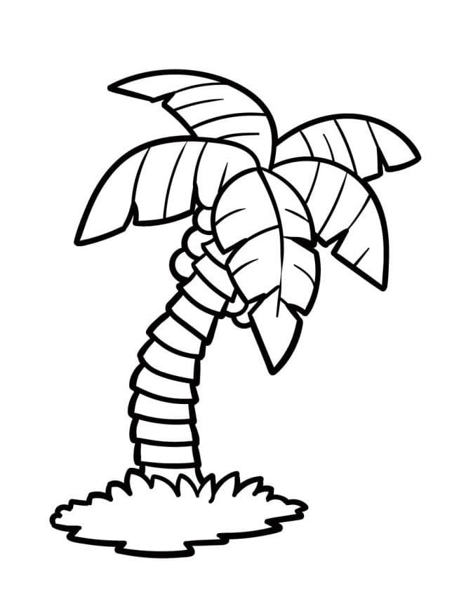 Gewöhnliche Palme ausmalbilder