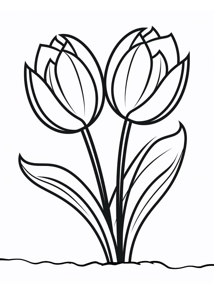 Gewöhnliche Tulpe ausmalbilder