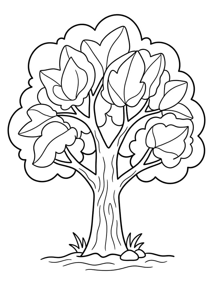 Gewöhnlicher Baum ausmalbilder