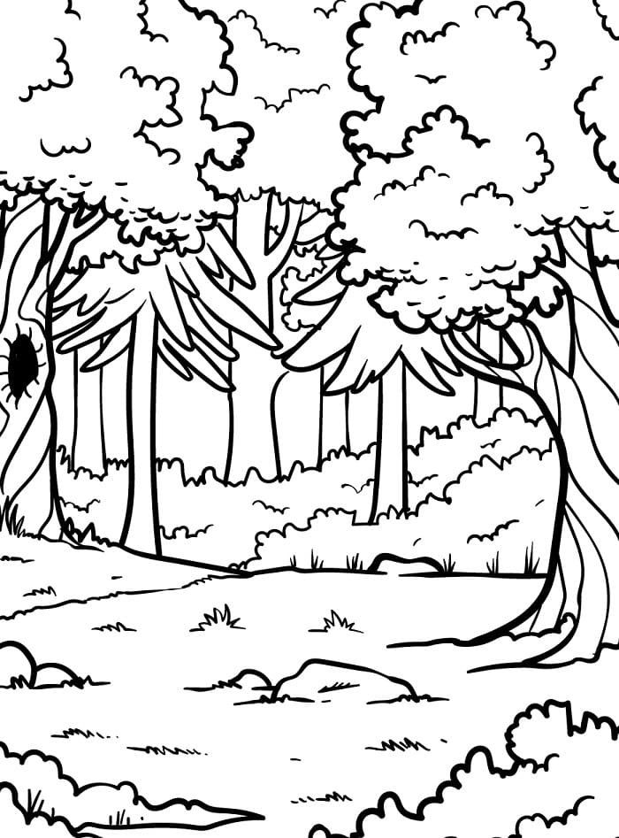 Gewöhnlicher Wald ausmalbilder