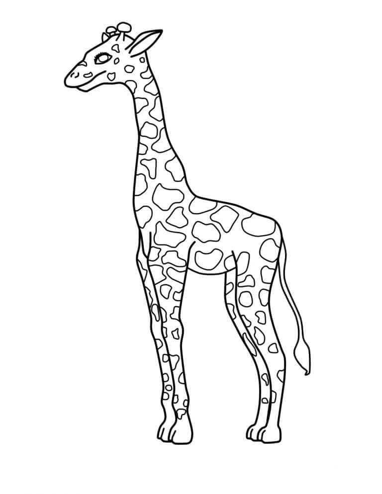 Giraffe Bild ausmalbilder