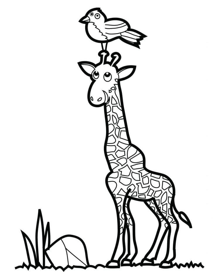 Giraffe in der Wildnis ausmalbilder