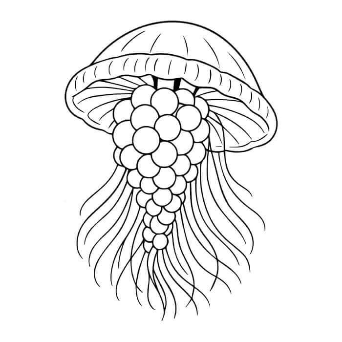 Graipussi Medussi Italian Brainrot ausmalbilder