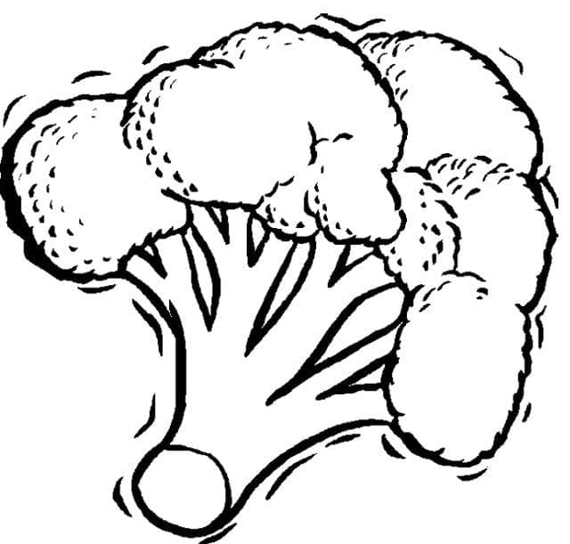 Gratis Brokkoli Bild ausmalbilder