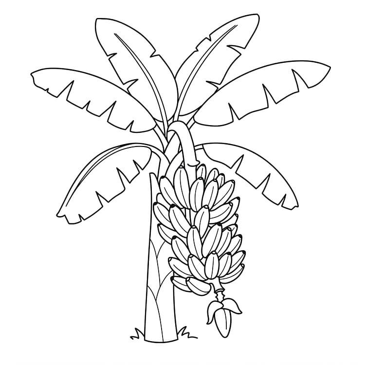 Gratis Kinder-Bild Banane ausmalbilder