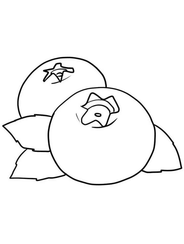Gratis Kinder-Bild Früchte ausmalbilder