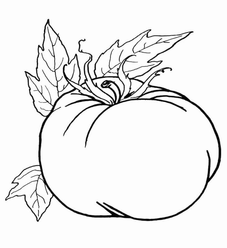 Gratis Kinder-Bild Tomate ausmalbilder