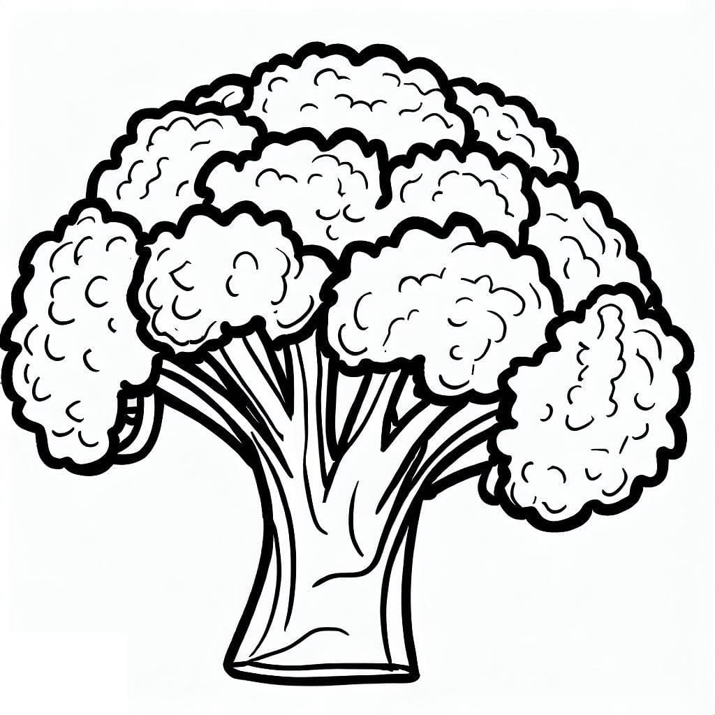 Gratis druckbare Brokkoli Vorlage ausmalbilder