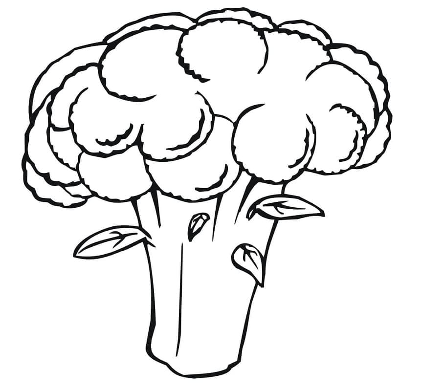 Gratis druckbarer Blumenkohl ausmalbilder