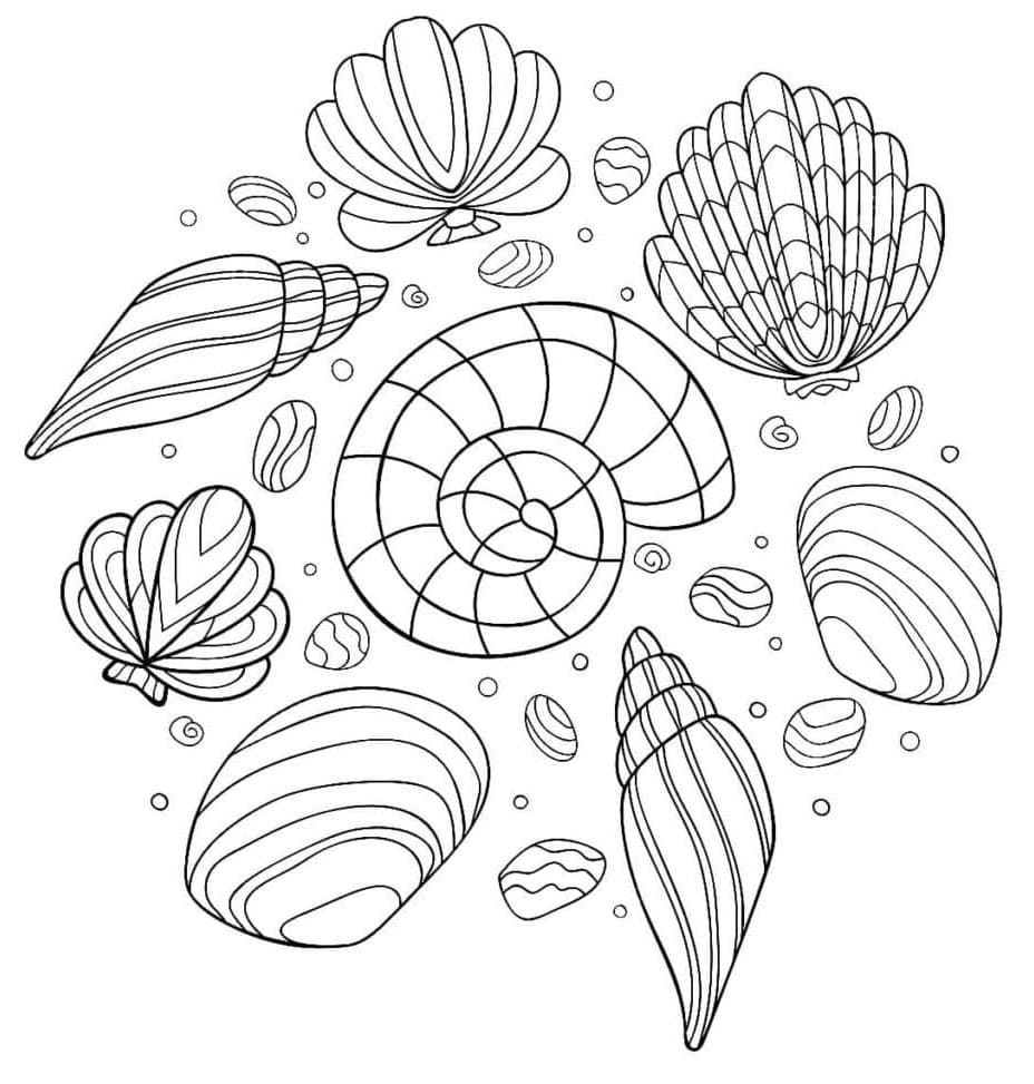 Großartige Muschel ausmalbilder