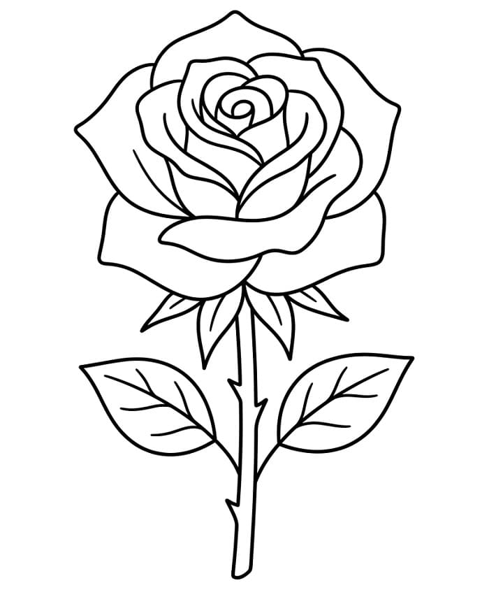 Großartige Rose ausmalbilder