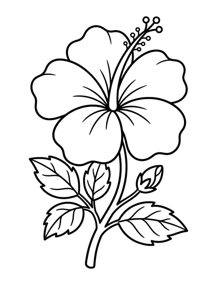 Großartiger Hibiskus ausmalbilder