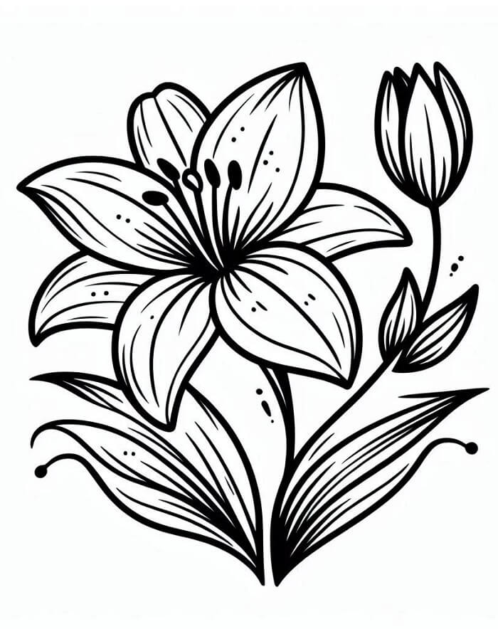 Grundlegende Lilie ausmalbilder