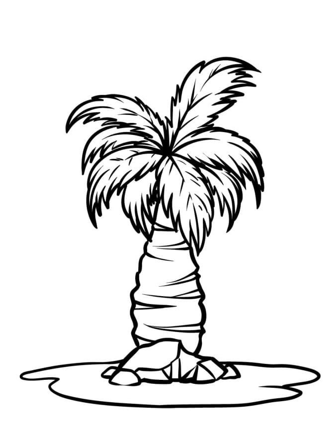 Grundlegende Palme ausmalbilder
