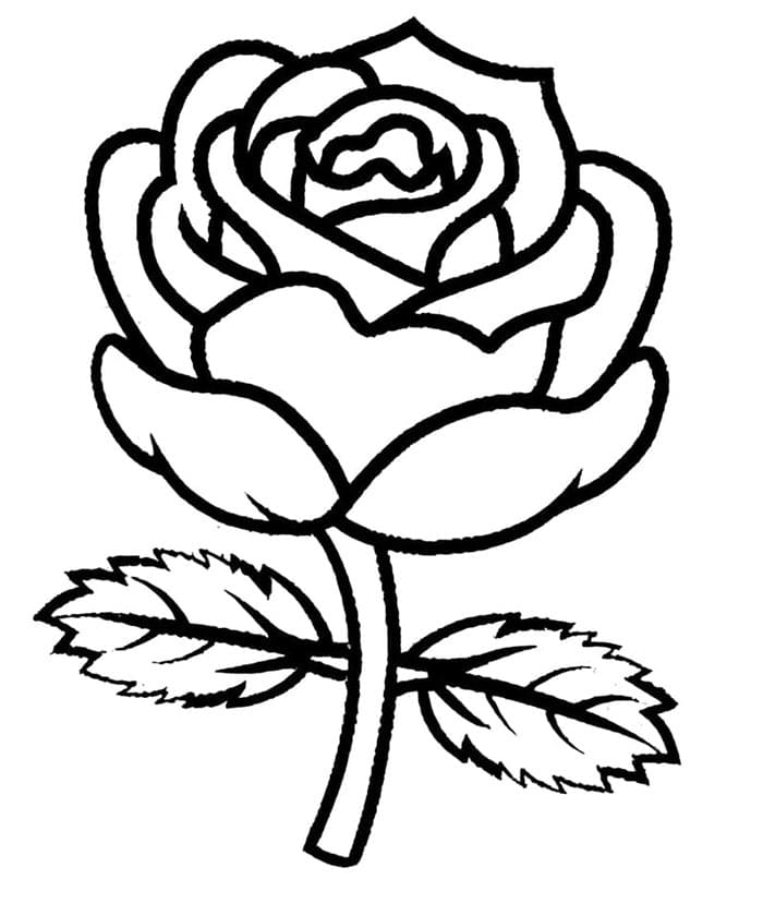 Grundlegende Rose ausmalbilder