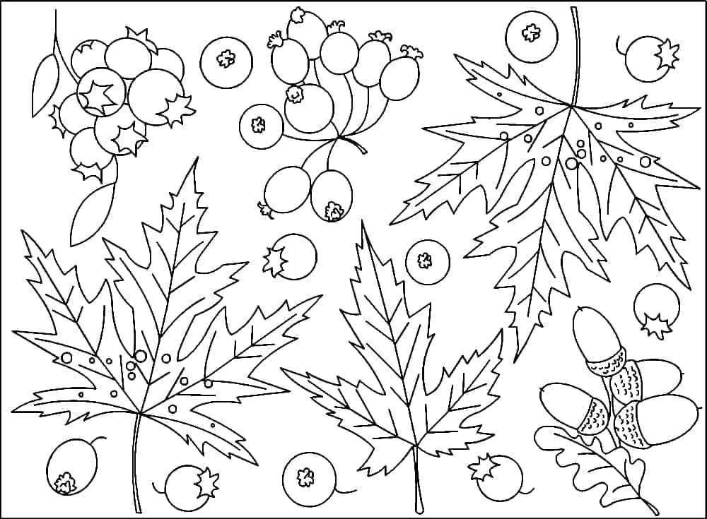 Herbst kostenlos für Kinder ausmalbilder