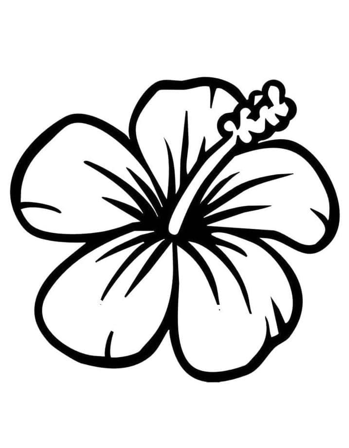 Hibiskus zum Drucken ausmalbilder