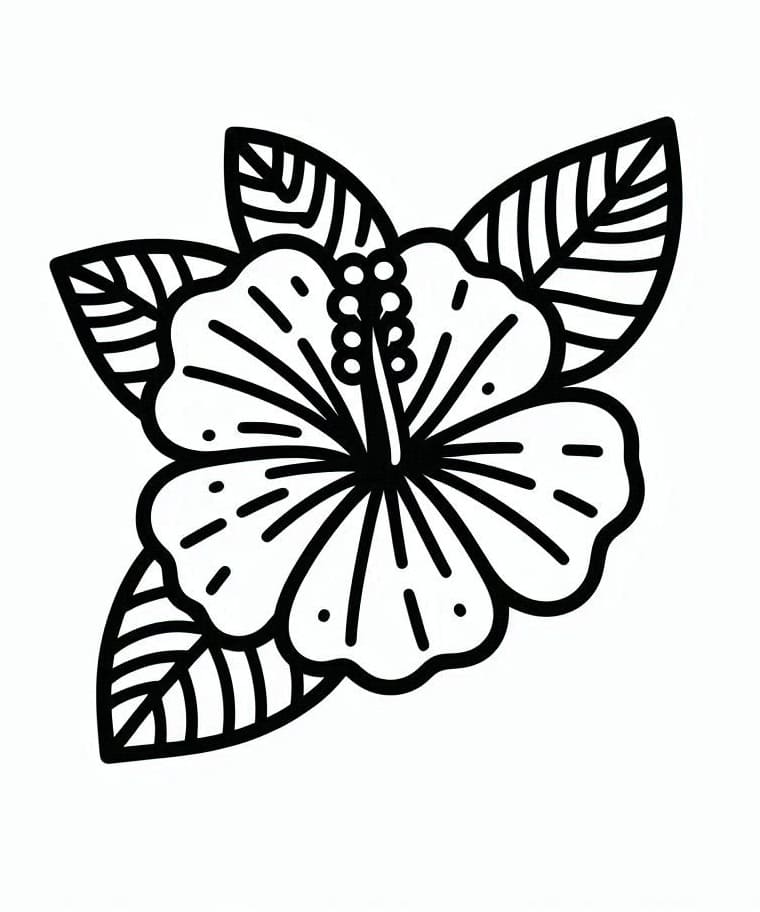 Hibiskusblume ausmalbilder